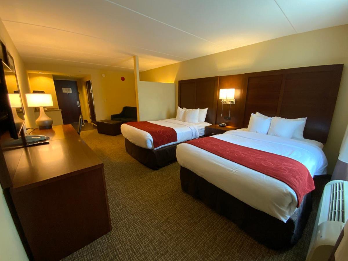 Double Suite Two Double Beds Non-Smoking,1217851489:JPEG